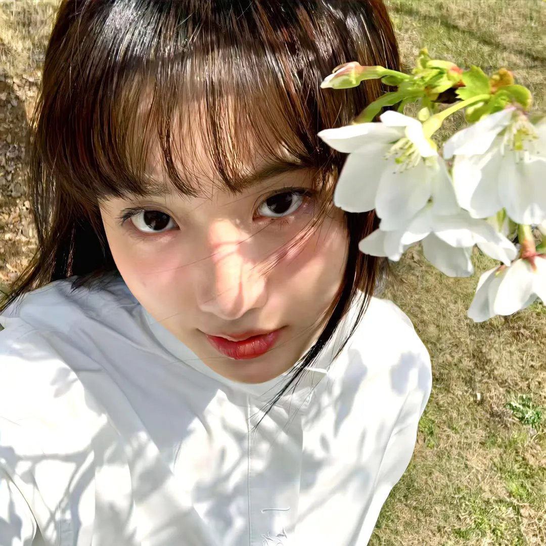 安息日(电影) 在线观看封面