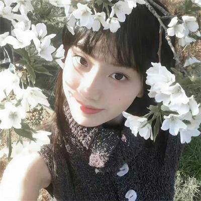 辣手美人 在线观看封面