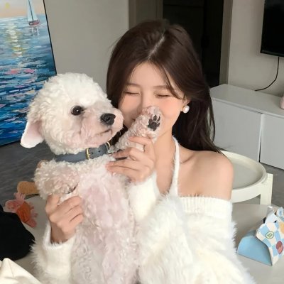 系统逼我做皇后第五季 在线观看封面
